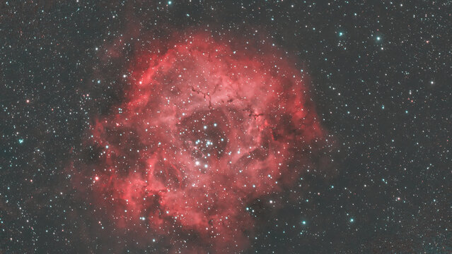 Rosette Nebula NGC 2237 in the winter sky