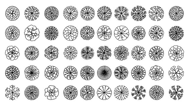 Collection of tree plan views for landscaping and architecture drawing, top elevation for section in site plan drawing, vector file.