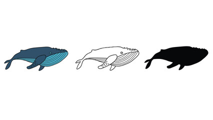 Three whales in different colors on a white background