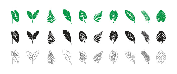 Fototapeta premium Summer tropical palm leaf set, green exotic jungle plants isolated on white, flat vector design.More descriptive (stock-friendly)