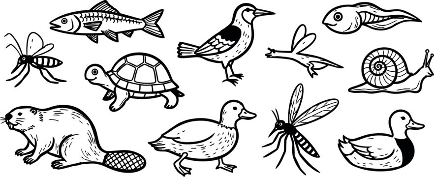 Black ink vintage style animal sketches including beaver turtle duck bird insect snail fish illustrations in line art