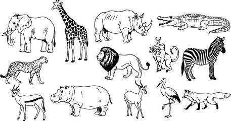 Naklejka premium Black and white line art of wild african animals including elephant giraffe lion zebra and crocodile in simple style
