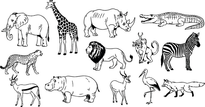 Black and white line art of wild african animals including elephant giraffe lion zebra and crocodile in simple style