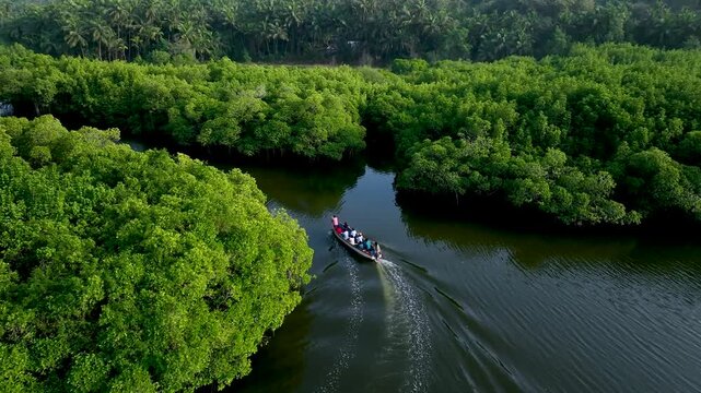 Aerial drone view of lush green mangrove forest with traditional fishing boats along calm coastal backwaters, showcasing tropical ecosystem, rural fishing lifestyle, natural landscape, and peaceful en