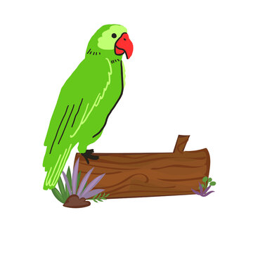 Vibrant Green Alexandrine Parakeet Illustration - Flat Vector Parrot on Log with Tropical Foliage