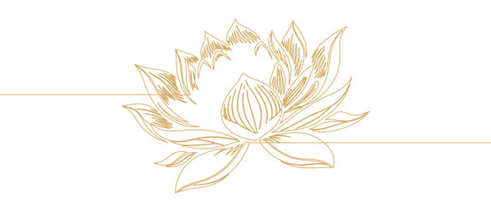 Fototapeta premium Illustration of a lotus in line art style