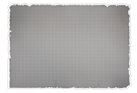 Mocca coffe color mat graph notebook sheet with torn ends Torn paper sheet with space for text.School education note page template. 