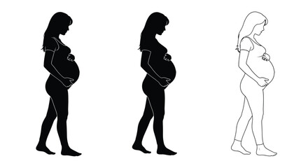 Silhouettes depicting stages of pregnancy first second and third trimester