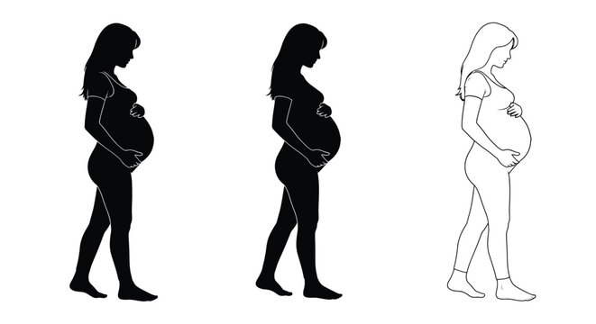 Silhouettes depicting stages of pregnancy first second and third trimester