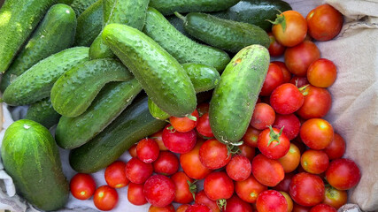 Crisp cucumbers and plump tomatoes intertwine in a cosmic harvest dance, evoking Solanum Solstice...