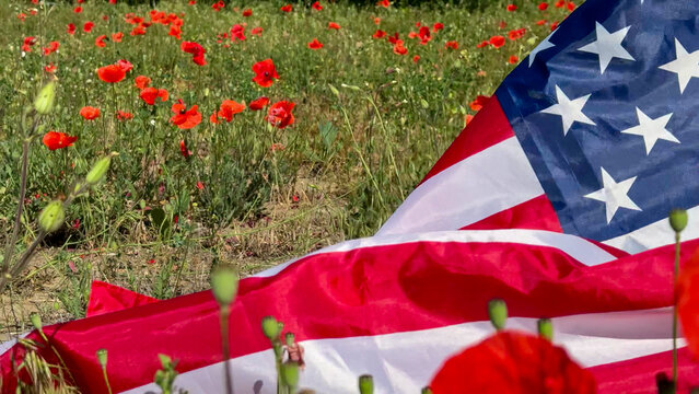 Stars and stripes ripple amidst wild poppies, resonating with Memorial Day reflections and Independence Day's vibrant tapestry of freedom