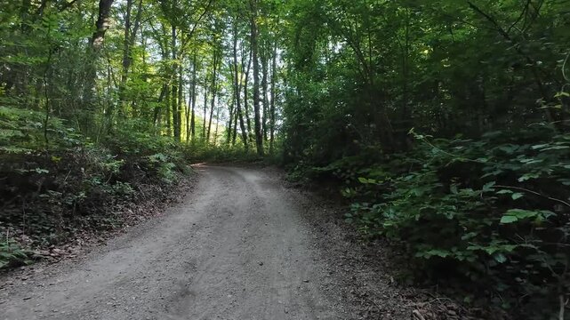 Exploring the enchanting paths of La Fageda d'en Jorda