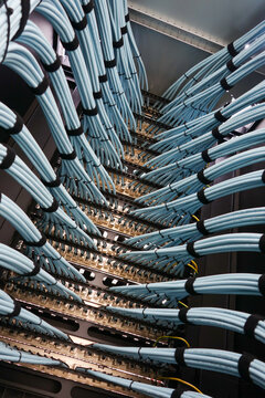 Organized Network Cables in Data Center