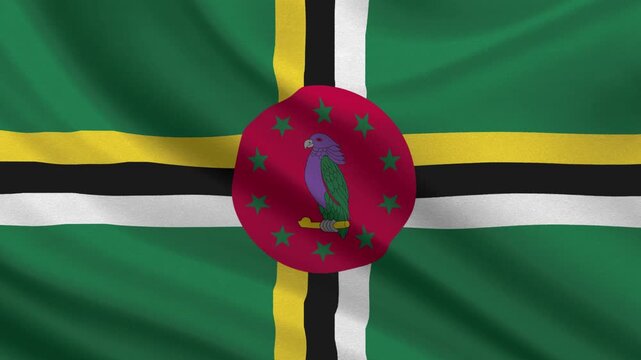 Dominica Flag flag waving looping footage Full 4K (3840 x 2160) Realistic Dominica Flag Looping background. Looping Closeup Full 4K (3840 x 2160) footage. February 27