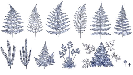 Obraz premium Collection of various leaves and plants in blue illustration, natural elements, foliage, botanical art, decorative design