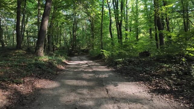 Exploring the enchanting paths of La Fageda d'en Jorda