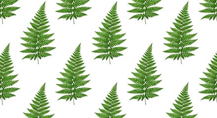 Obraz premium Repeating pattern of fresh green fern leaves on white background