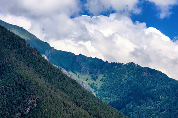 Fototapeta premium A mountain slope with green meadows and trees