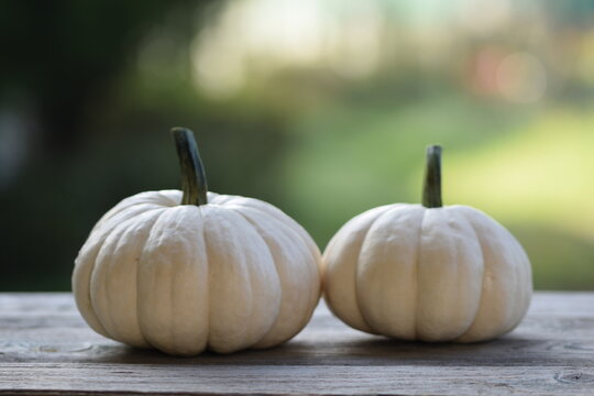 Ornamental pumpkins Baby Boo on wooden table, bokeh background, autumn background with pumpkins, selective focus, blurred background, space for text.