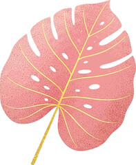 A stylish pink monstera deliciosa leaf with gold veins, a chic botanical illustration with a trendy tropical aesthetic © MDMUKTADIR