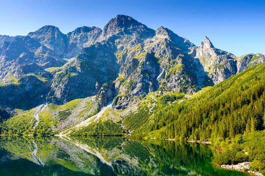 alpine landscape with lake in summer. beautiful poland nature in high tatra mountains for travel. blue sky. scenery reflection in transparent pond water