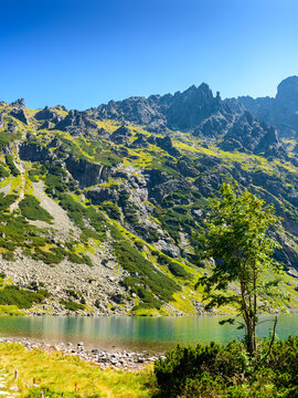 alpine landscape with lake in summer. beautiful poland nature in high tatra mountains for travel. blue sky above czarny staw pond