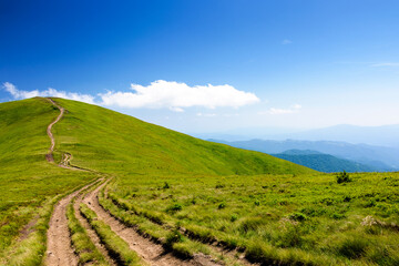 Obraz premium mountain trail to the top of the summit. summer travel landscape under deep blue sky with fluffy clouds. sunny weather. borzhava ridge of transcarpathia, ukraine