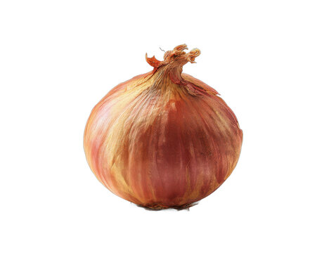 rettich isolated on a transparent 