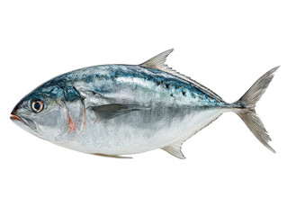 seelachs isolated on a transparent 