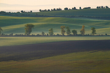 Fototapeta premium Gorgeous rural landscape with green sunny spring hills. South Moravia region, Czech Republic