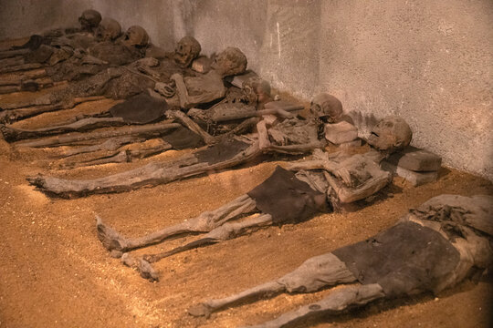 Mummified skulls in a crypt