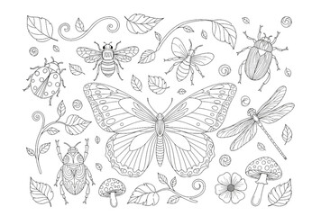 Obraz premium Insect and leaf vector illustration set