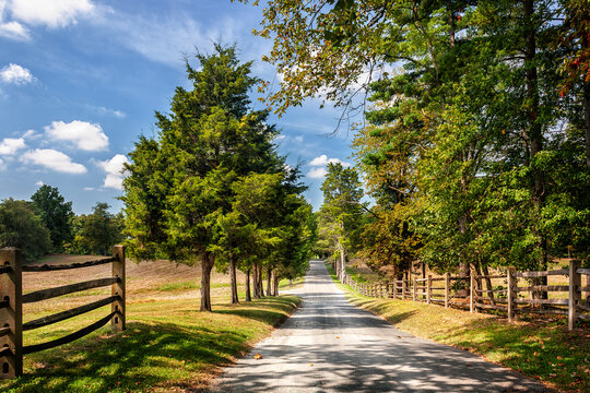 Scenic Rural Lane in Maryland at the End of Summer