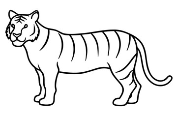 Obraz premium tiger line art white background illustration