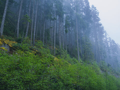 powellriver