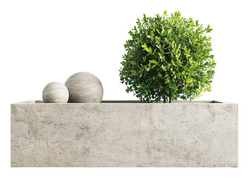 Concrete planter is shown from the side with a shrub and two spheres arranged inside. The background is transparent. The lighting highlights the details around the planter
