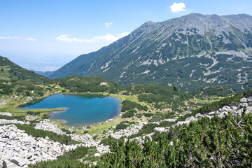 Obraz premium Pirin Mountain near Banderitsa Area, Bulgaria