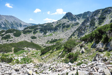Pirin Mountain near Banderitsa Area, Bulgaria