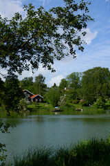 Fototapeta premium Søllerød Lake - Søllerød Sø in Rudersdal Municipality Denmark