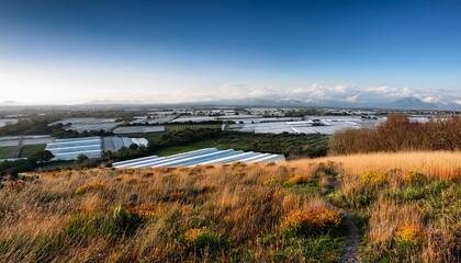 Paginas De Partitura