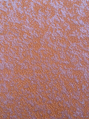 Light icing on orange painted metal surface.