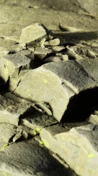 Ecological analysis of fractured limestone surface, Detailed investigation of lichen growth and soil pockets on fractured stone surface for ecology studies