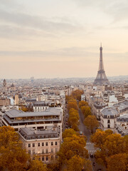 Autumn Paris Avenue