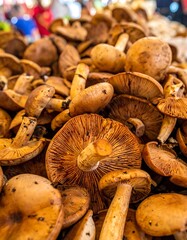 Pile of Saffron Milk Cap Mushrooms at Market.