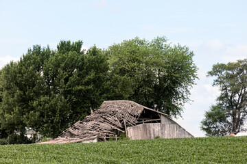 Fototapeta premium Expansive Green Field Landscape with Wood Debris Element
