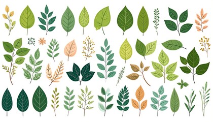 Diverse Collection of Green Leaves - A Botanical Illustration.