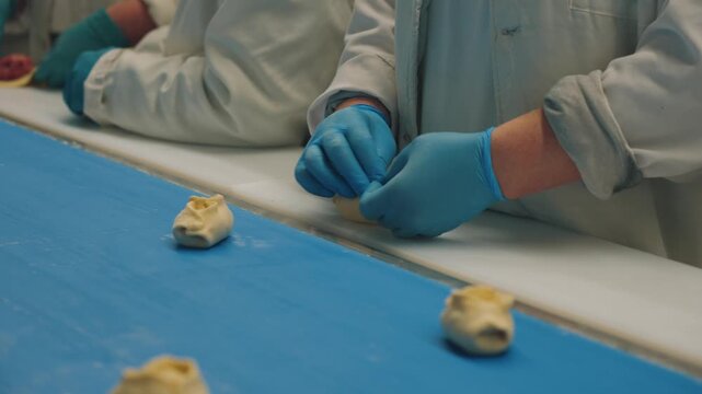 Workers make dumplings, hand-made dumplings on the conveyor, hand-made dumplings