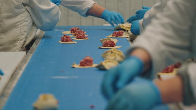 Workers make dumplings, hand-made dumplings on the conveyor, hand-made dumplings