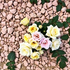 Roses Rest Amongst Rustic Stones