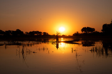 Obraz premium Mokoro poler at golden Okavango sunset